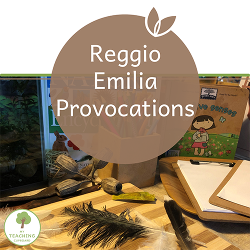 Reggio Emilia Provocations