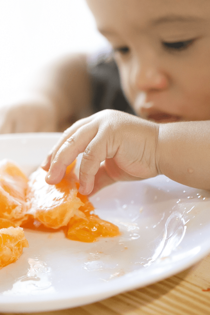 A baby touches a sliced orange during a snack time sensory activity.