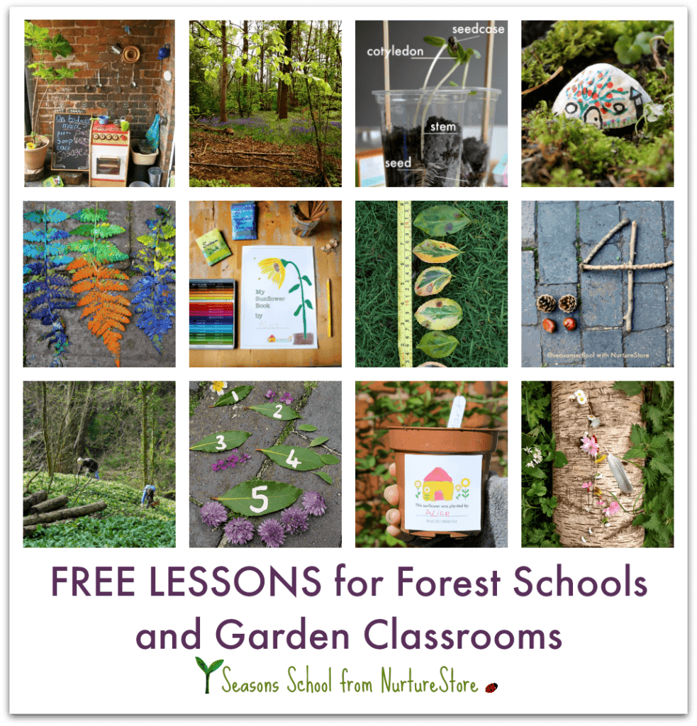 free forest school lesson ideas