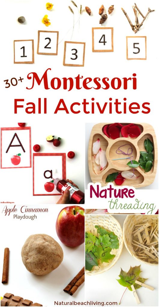 30+ Montessori Fall Activities, Fall Activities, Montessori Themes