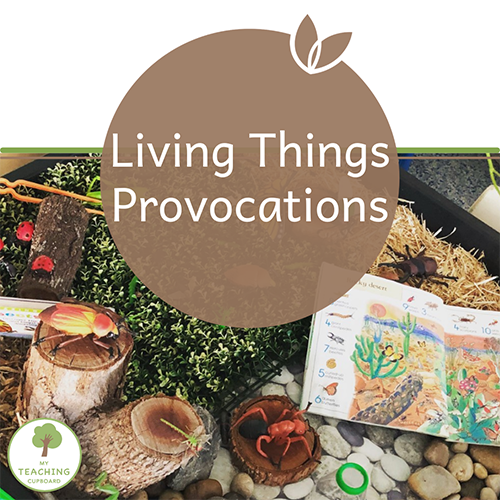 Science Provocations – Living Things 