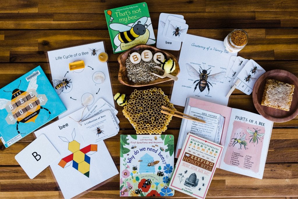 Bee unit study for nature based homeschool.