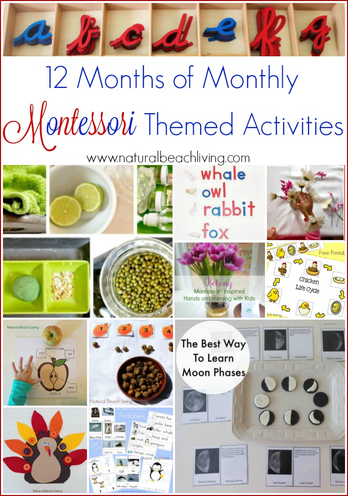 150+ The Best Montessori Activities, Free Printables, Montessori Books, Montessori Preschool, Montessori Spaces, Montessori Toys, Practical life and more