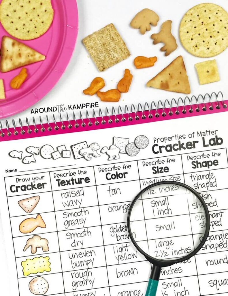 Properties of matter activities and experiments for 2nd grade. Describing properties cracker lab science activity. Students describe shape, color, size, and texture.