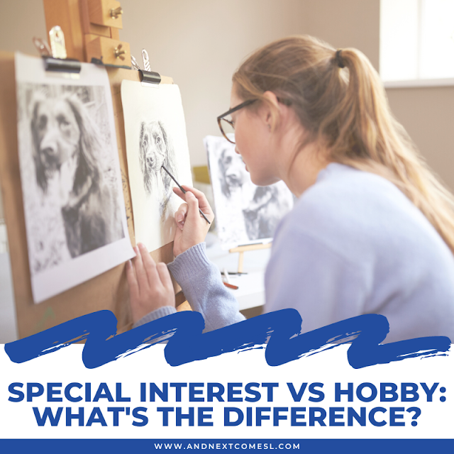 Special interest vs hobby