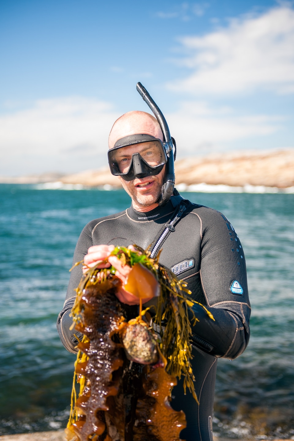 Kelp forager in scuba gear holds a seaweed plant on shore
