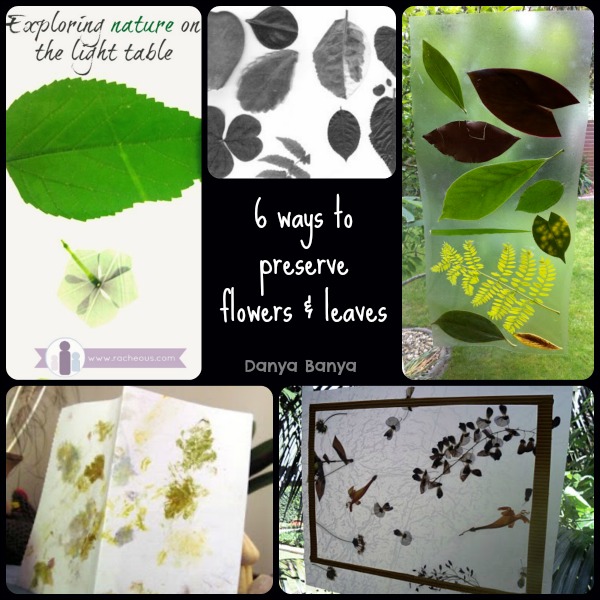 6 ways to preserve flowers & leaves