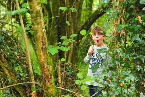 Games to Play in the woods with kids