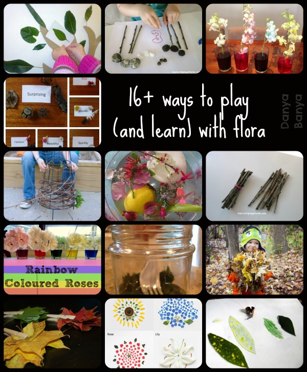 16+ ways to play (and learn) with flora