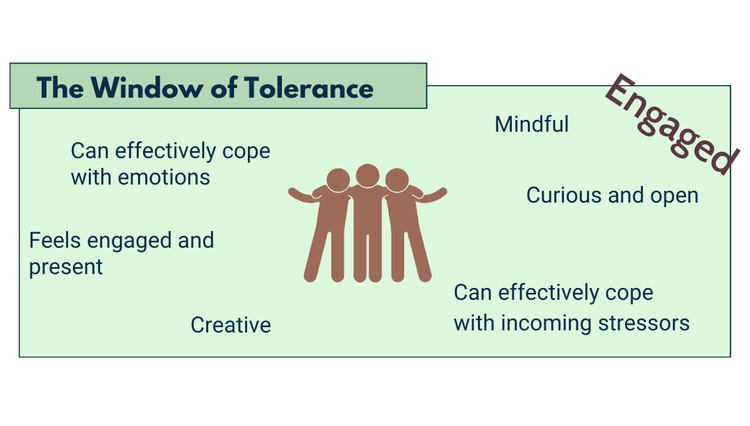 image of the window of tolerance