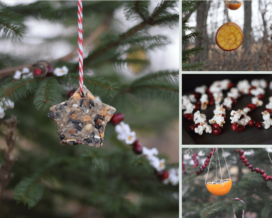 Edible Ornaments for Animals and Wildlife