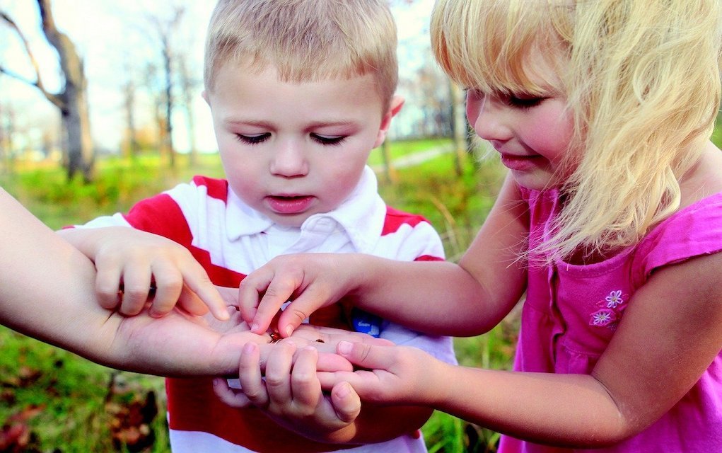 children bug hunt outdoor activities for kids