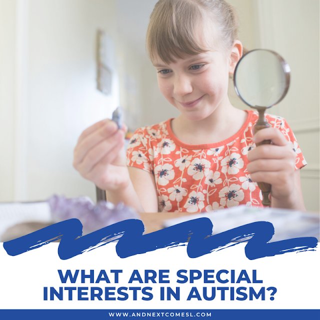 Special interests in autism