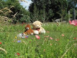 A group of stuffed animals in a grassy area

Description automatically generated with low confidence
