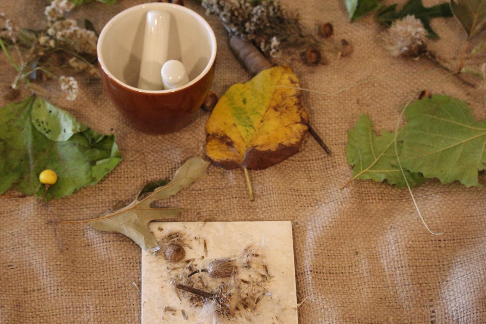 collages for nature based loose parts for the Reggio inspired classroom