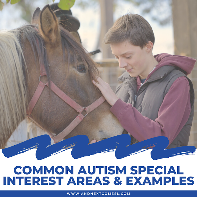 Common autism special interest examples