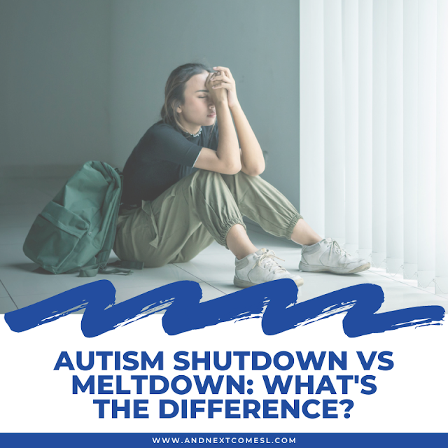Autism shutdown vs meltdown