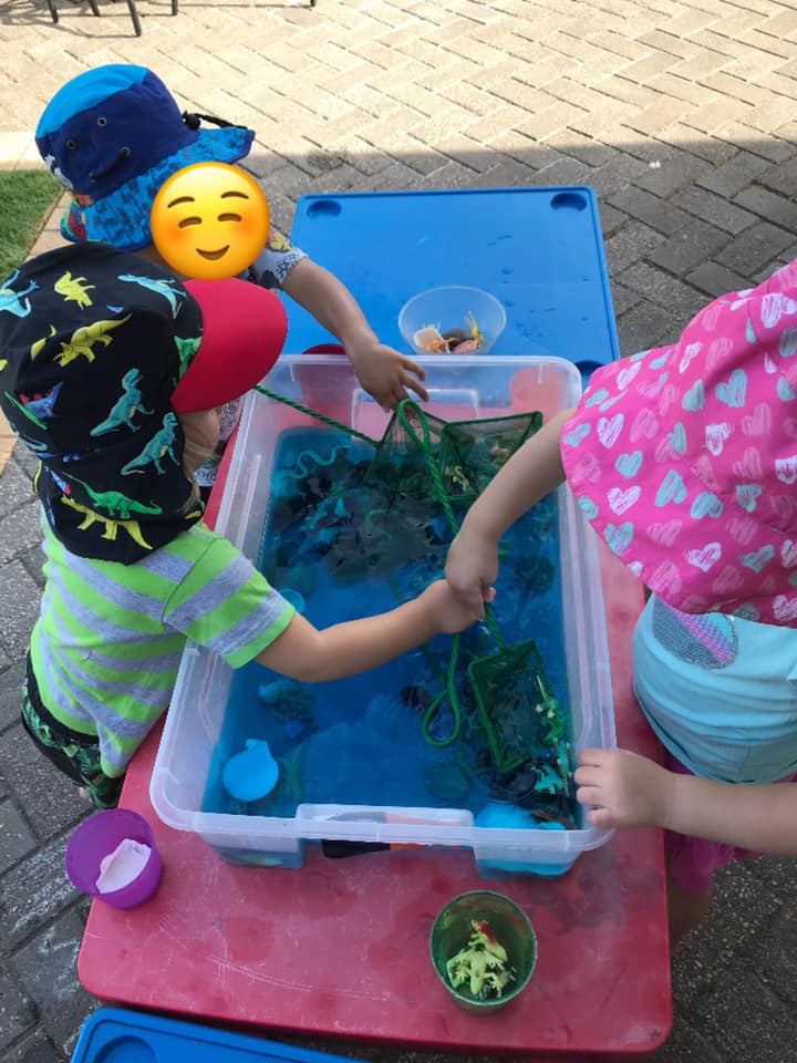 Be inspired to set up invitations to play and learn using simple materials from nature with this collection of photos and ideas from early years educators!