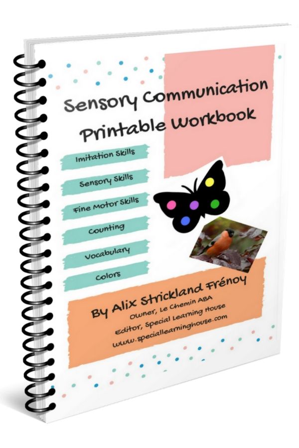 Colorful cover of the Sensory Communication Workbook for Kids with Autism