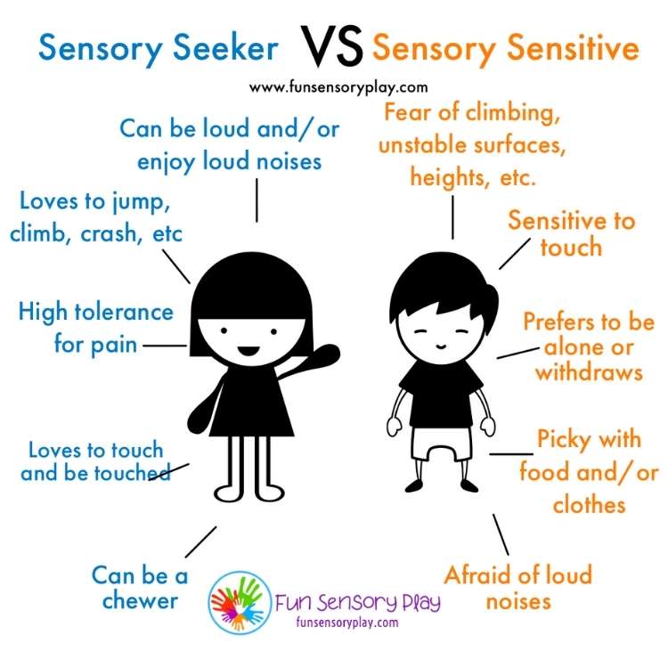sensory seeker vs sensory sensitive