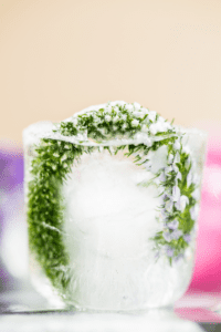 ice cubes with frozen green plant for nature-based playing with ice activity