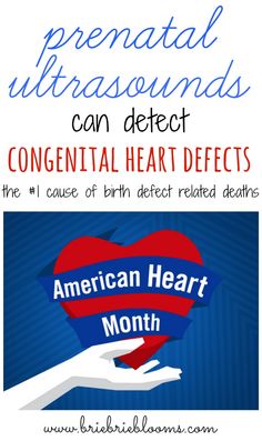 This contains an image of: Prenatal ultrasounds can detect congenital heart defects - Brie Brie Blooms