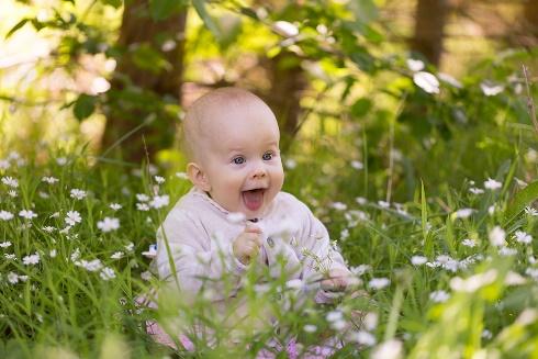 A baby in a field of flowers

Description automatically generated with medium confidence