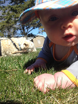 4 month old tummy time on grass, Photo by Monica, on Instagram @mamanonthetrail