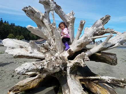 Girl climbing on driftwood, Photo by Karen on Instagram @tyrannosaurustreks