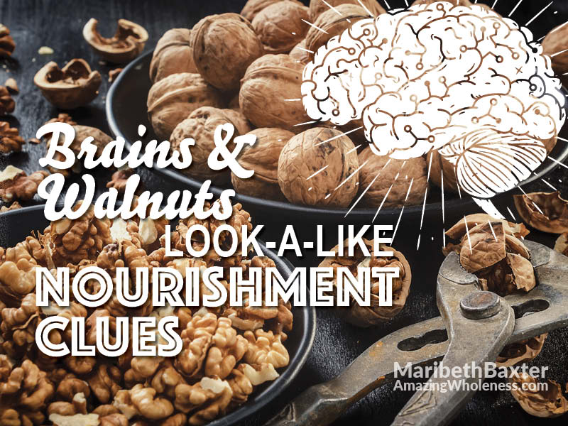brains and walnuts, look-a-like nourishment clues