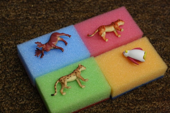 4 coloured sponges with toy animals on them 