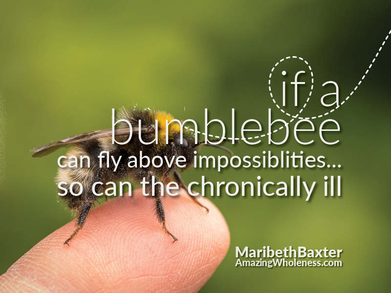 If a bumblebee can fly, so can the chronically ill.