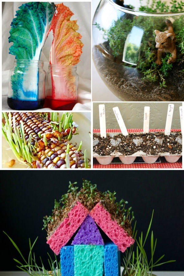 Learn all the things with these fun spring science experiments for kids! #scienceexperimentskids #springscienceactivitiespreschool #springexperimentsforkids #springcrafts #growingajeweledrose #activitiesforkids