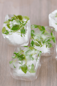 ice cubes with green herbs for scented ice play activity