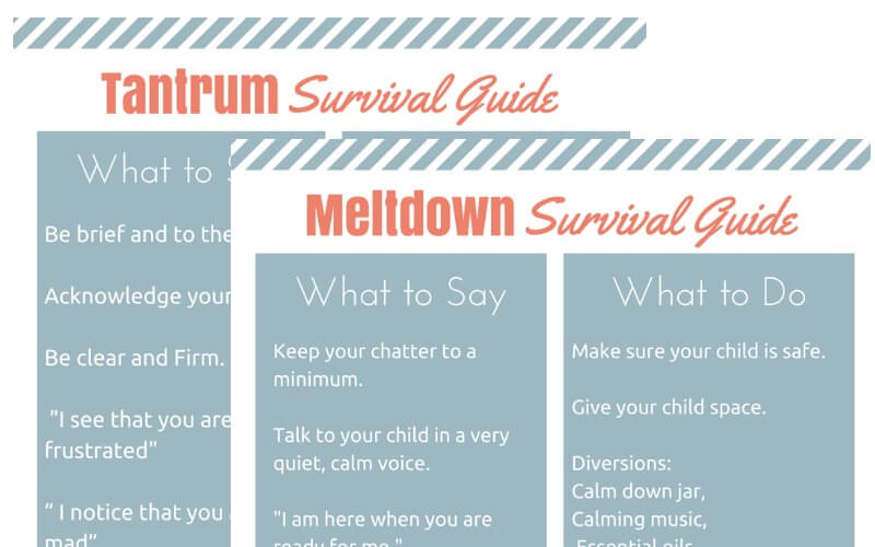 Sneak Peek Tantrum and Meltdown Survival Guide