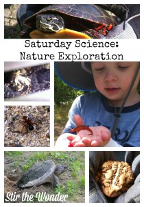 Saturday Science: Nature Exploration & Book Suggestions | Stir the Wonder #kbn #childledlearning #nature