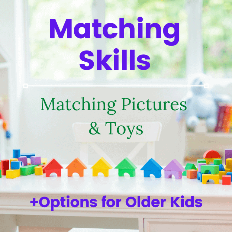 Developing Matching Skills | Matching Pictures | Printable |  for Older Kids