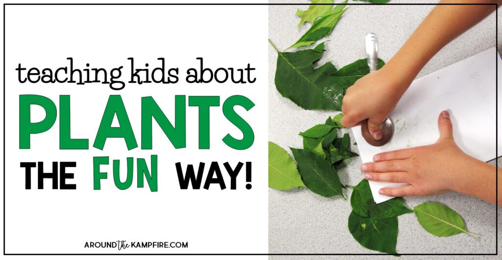Plant life cycle activities: Find creative, hands-on plant life cycle activities for teaching kids about chlorophyll, pollination, germination, and seed dispersal the fun way! Ideal for 1st, 2nd, and 3rd graders learning about the life cycle of plants.