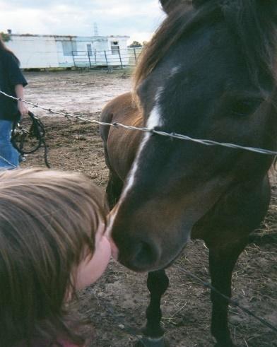 A person kissing a horse

Description automatically generated with low confidence