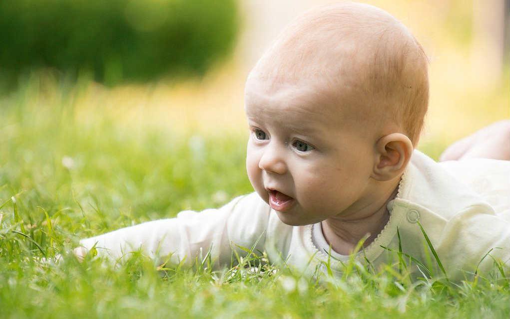A baby lying in the grass

Description automatically generated with medium confidence