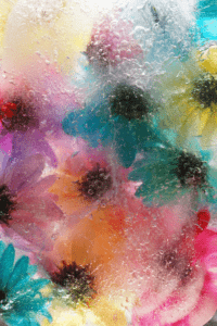 a rainbow frozen flower collage for a toddler process art ice cube play activity