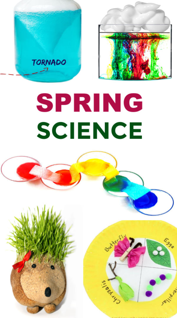 SPRING SCIENCE FOR KIDS- 30 FUN ACTIVITIES! #scienceexperimentskids #springscienceactivitiespreschool #springexperimentsforkids #springcrafts #growingajeweledrose #activitiesforkids