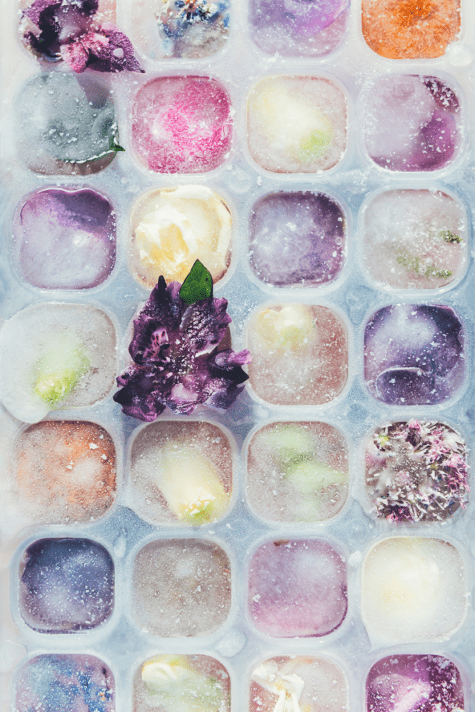 Ice cube tray with colorful frozen flowers for playing with ice toddler activity.