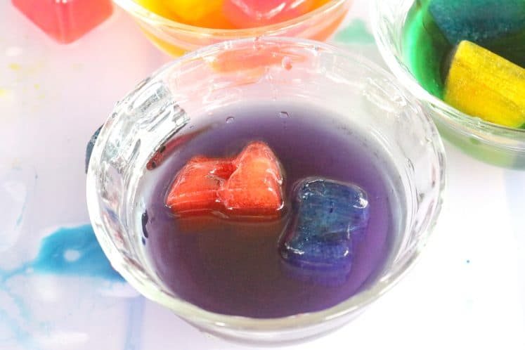 clear dish with purple water containing red and blue ice cubes