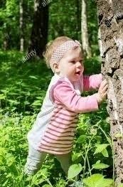 A child climbing a tree

Description automatically generated with low confidence