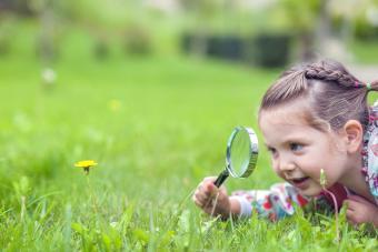 Girl with magnifying glass examining flower
