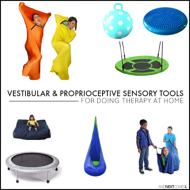 Vestibular and proprioceptive sensory tools and toys