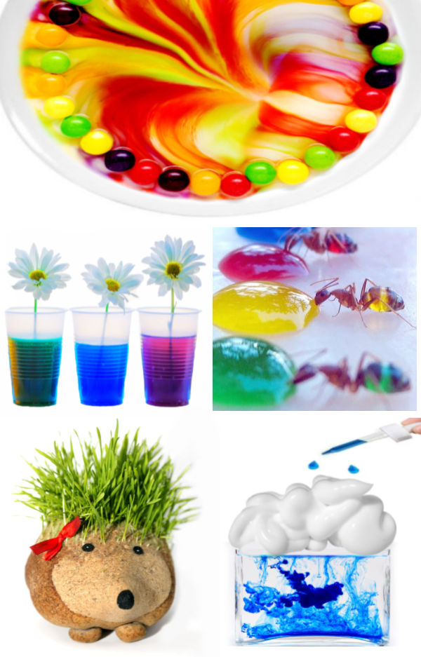 Learn all the things with these fun spring science experiments for kids! #scienceexperimentskids #springscienceactivitiespreschool #springexperimentsforkids #springcrafts #growingajeweledrose #activitiesforkids