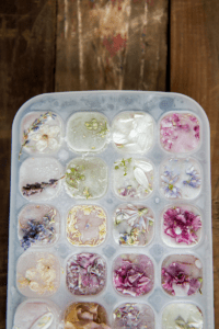 ice cubes with fresh frozen flowers for nature playing with ice activity