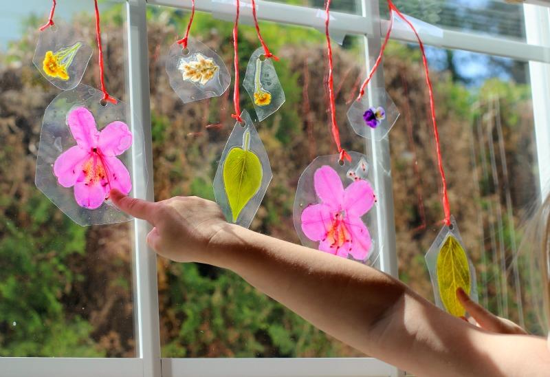 Summer Crafts for Kids: DIY Laminated Nature Suncatchers